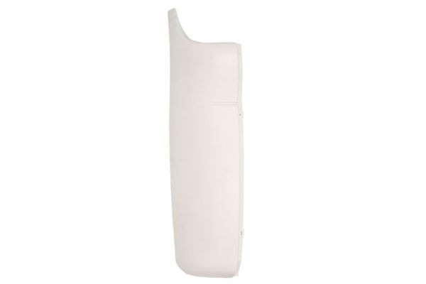 PACOL Wind Deflector Article number: RVI-CP-004R cheaply