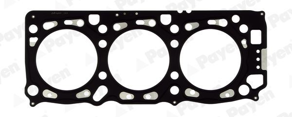 PAYEN Gasket, cylinder head Article number: BV010 cheaply