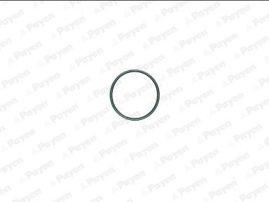 PAYEN Exhaust pipe gasket Article number: JE231 cheaply