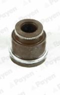 PAYEN Valve stem seal Article number: PA933 cheaply