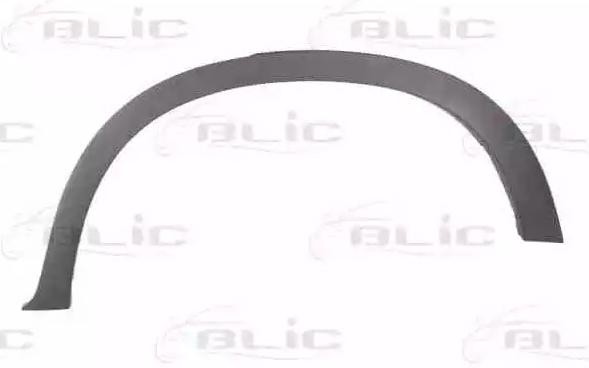 BLIC Trim / Protective Strip, mudguard Article number: 5703-04-0096595P cheaply