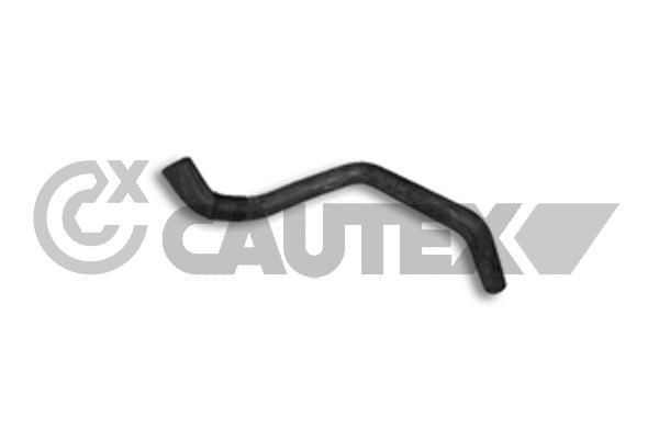 CAUTEX Radiator hose Article number: 066574 cheaply