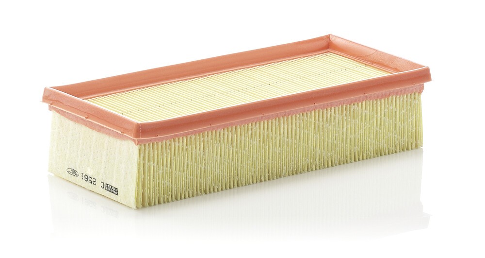 MANN-FILTER Luftfilter Artikelnummer: C 2561 günstig