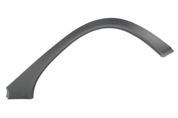 BLIC Trim / Protective Strip, mudguard Article number: 5703-04-5022596Q cheaply