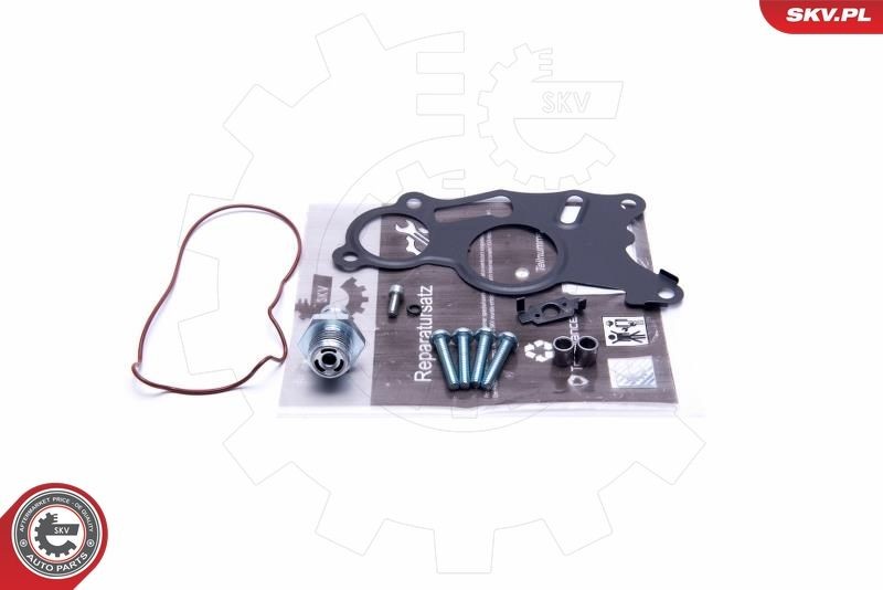 ESEN SKV 18SKV803 Remondikomplekt, vaakumpump(pidurisüsteem) OCTAVIA 2.0 TDI RS 170 HP Diisel 2013