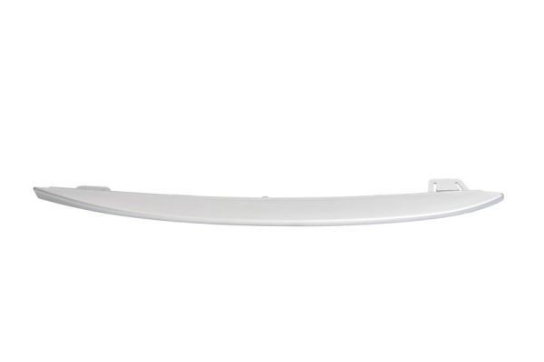 BLIC Bumper moulding Article number: 6502-07-0067927P cheaply