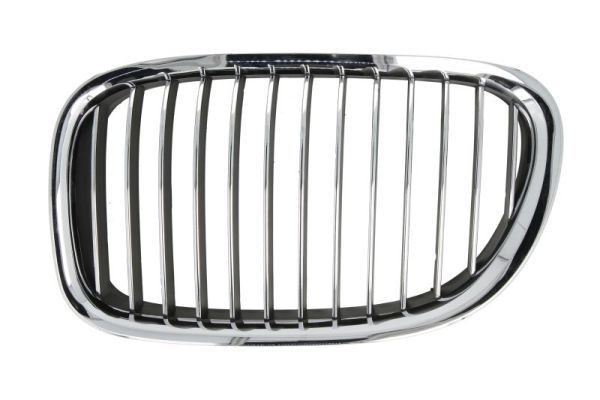 BLIC Radiator Grille Article number: 6502-07-0077991P cheaply