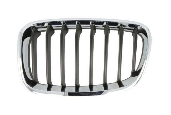 BLIC Radiator Grille Article number: 6502-07-0086995P cheaply