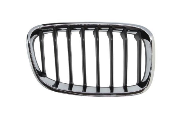 BLIC Radiator Grille Article number: 6502-07-0086996P cheaply