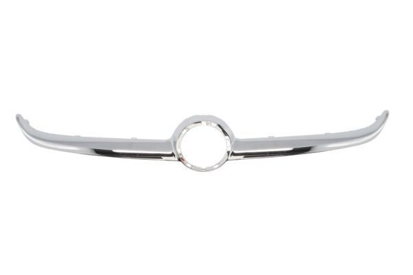 BLIC 6502-07-5025991P Trim / Protective Strip, radiator grille CORSA 1.3 CDTI (08, 68) 95 PS Diesel