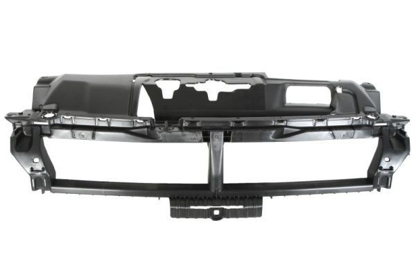 BLIC Support, radiator grille Article number: 6502-07-5519993P cheaply