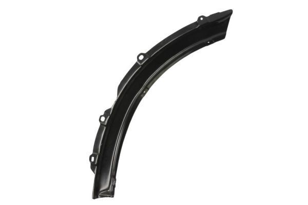 BLIC Trim / Protective Strip, mudguard Article number: 6508-06-8179934P cheaply