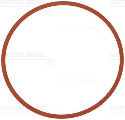 REINZ Inlet manifold gasket Article number: 71-11403-00 cheaply