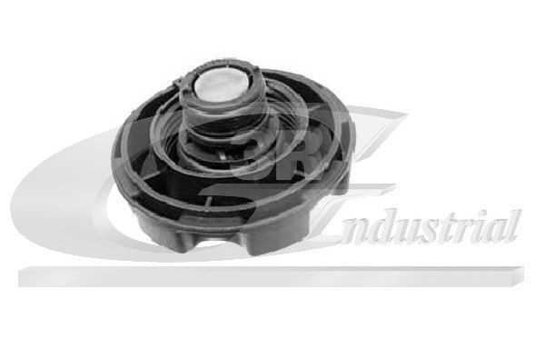 3RG Expansion tank cap Article number: 80116 cheaply