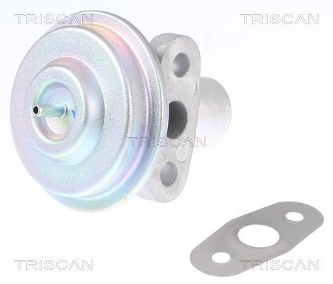 TRISCAN EGR-klapp Artikli number: 8813 16204 soodsalt
