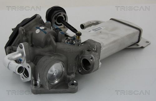 TRISCAN EGR valve Article number: 8813 29303 cheaply