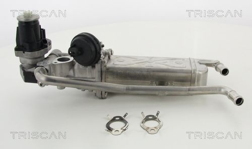 TRISCAN EGR-Modul Varenummer: 8813 29325 billige