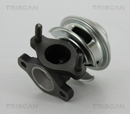 TRISCAN EGR valve Article number: 8813 43008 cheaply