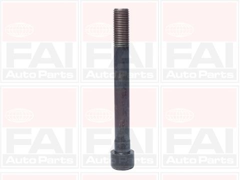 FAI AutoParts Bolt Kit, cylinder head Article number: B1046 cheaply