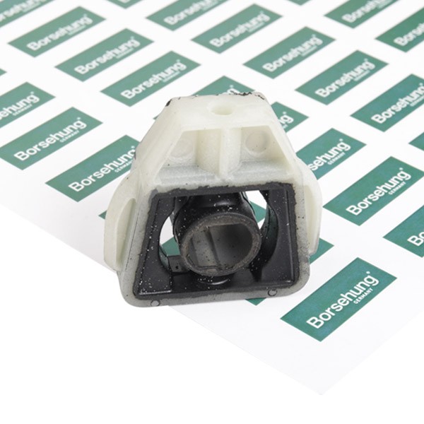 Borsehung B11361 Paigutus, radiaator FABIA 1.9 TDI RS 130 HP Diisel 2008