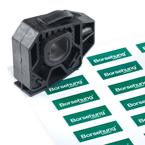 Borsehung B11364 Paigutus, radiaator FABIA 1.9 TDI RS 130 HP Diisel 2008