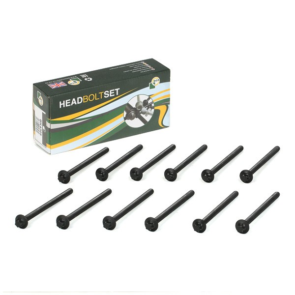 BGA Bolt Kit, cylinder head Article number: BK4305 cheaply