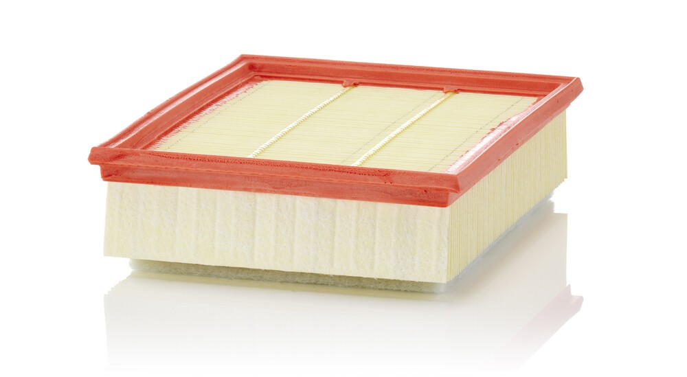 MANN-FILTER Air filter Article number: C 25 018 cheaply