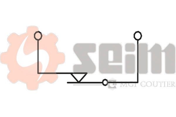 SEIM CS47 Switch, clutch control (cruise control) IDEA 1.3 D Multijet 70 PS Diesel