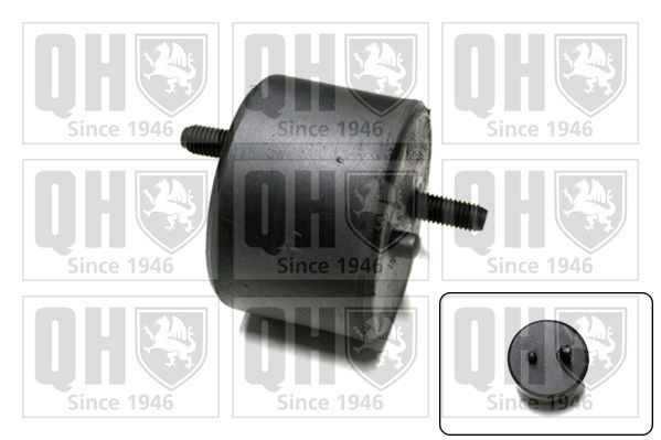 QUINTON HAZELL Engine mount Article number: EM1517 cheaply