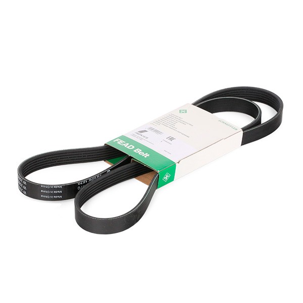 INA Serpentine belt Article number: FB 6PK1670 cheaply