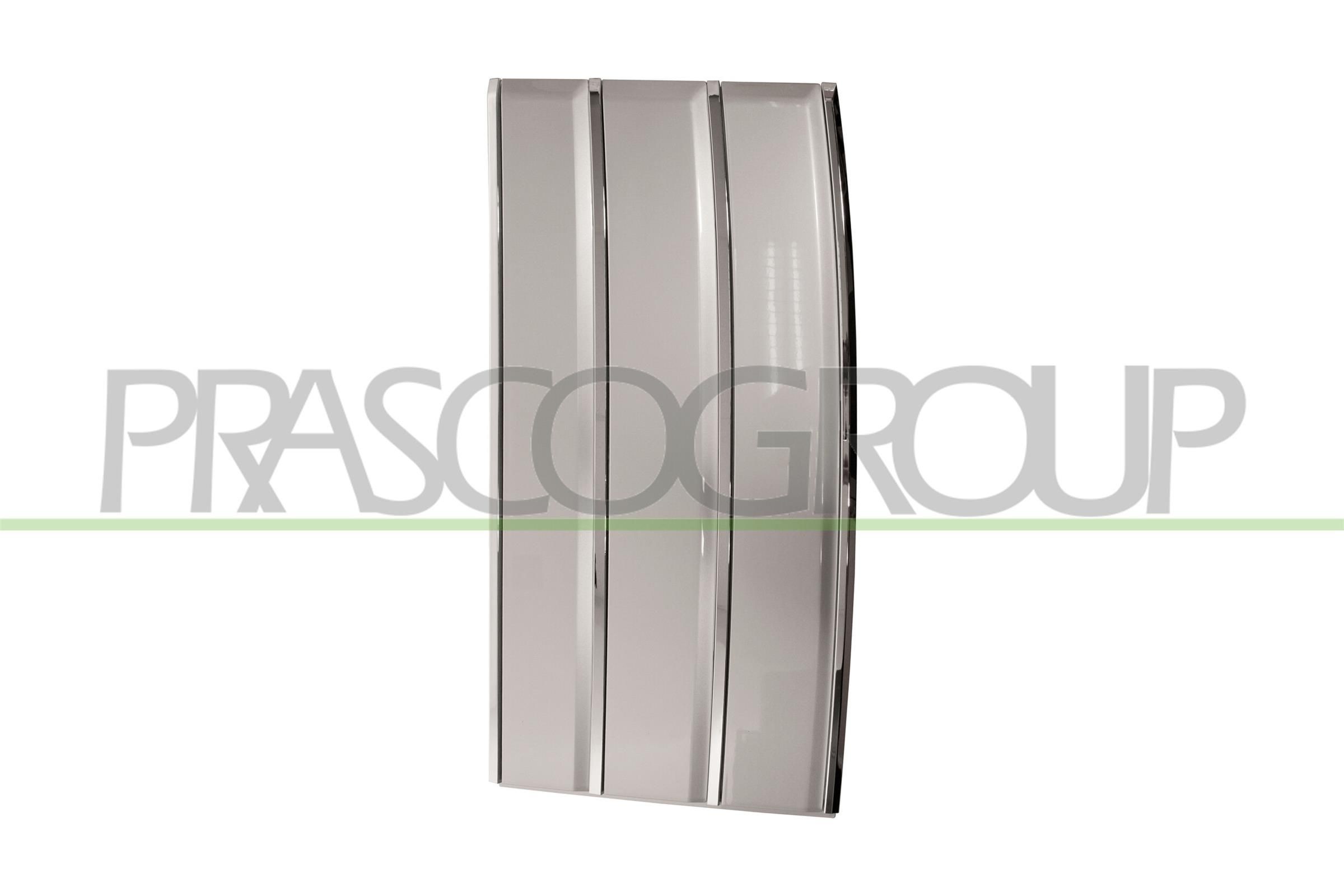 PRASCO Pynte- / beskyttelsesliste, dør Varenummer: LR8661423 billige