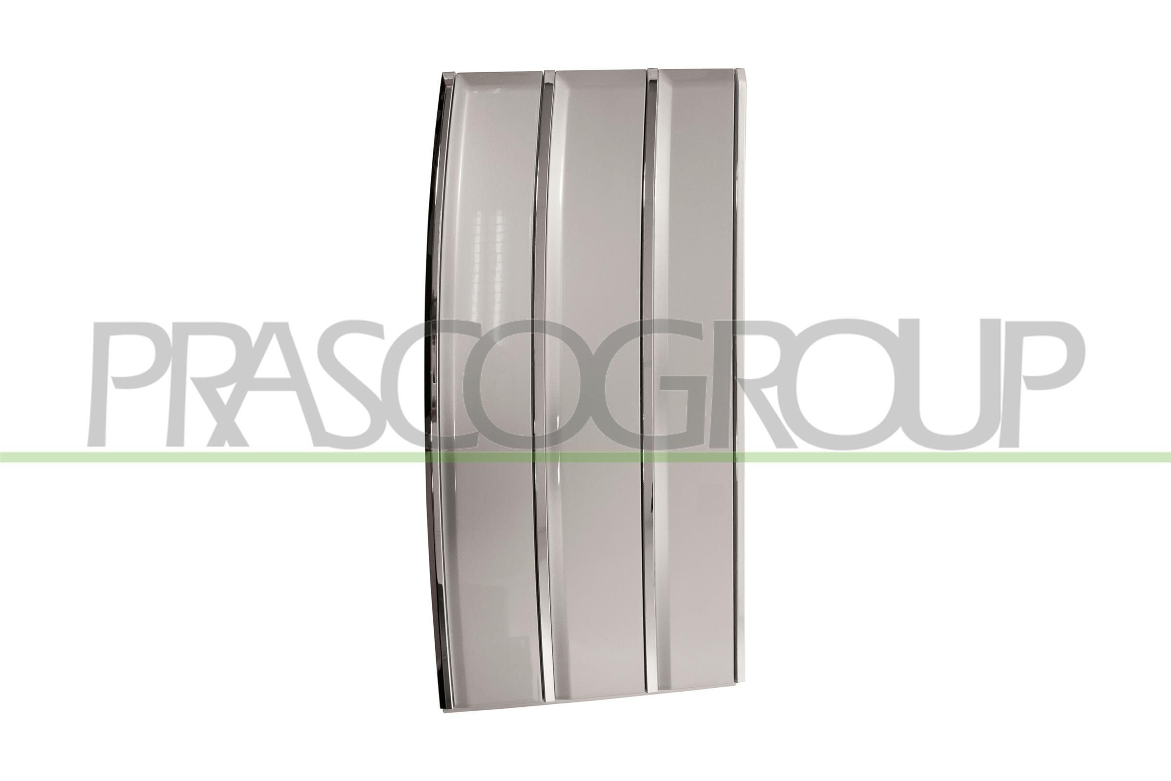 PRASCO Pynte- / beskyttelsesliste, dør Varenummer: LR8661424 billige