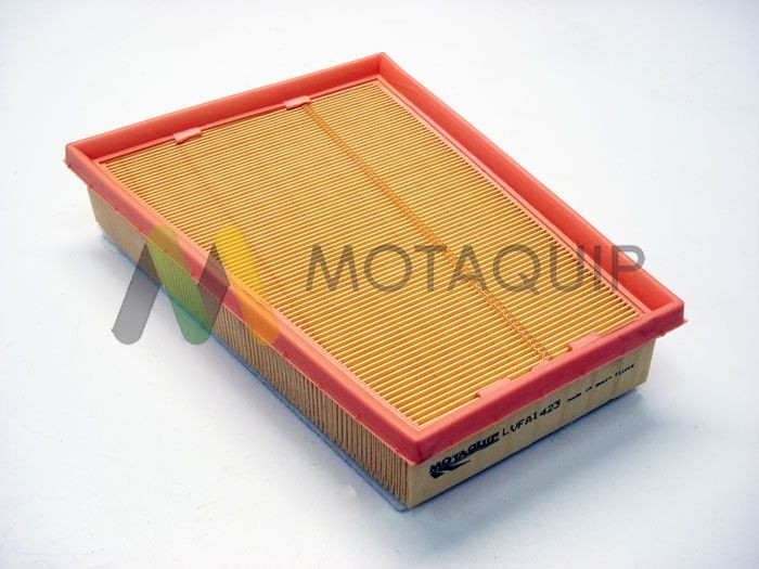 MOTAQUIP Air filter Article number: LVFA1423 cheaply