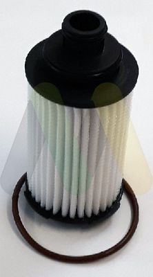 MOTAQUIP Oil filter Article number: LVFL843 cheaply