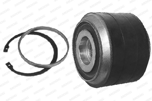 MOOG Repair Kit, guide strut Article number: MN-RK-8558 cheaply