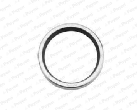 PAYEN Gasket, thermostat Article number: NA5357 cheaply