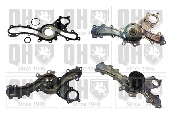 QUINTON HAZELL Water pump Article number: QCP3684 cheaply
