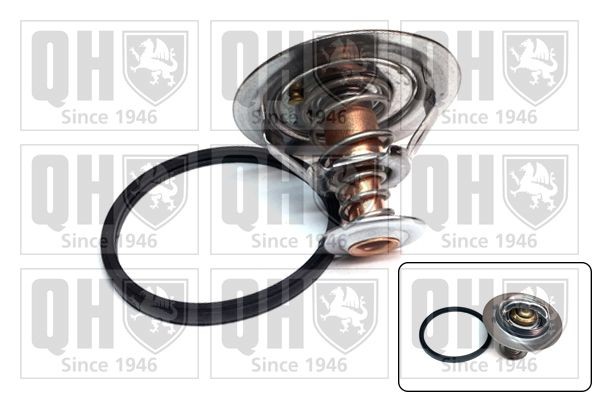 QUINTON HAZELL Thermostat Article number: QTH924K cheaply
