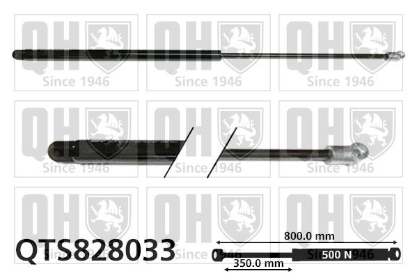 QUINTON HAZELL Tailgate strut Article number: QTS828033 cheaply