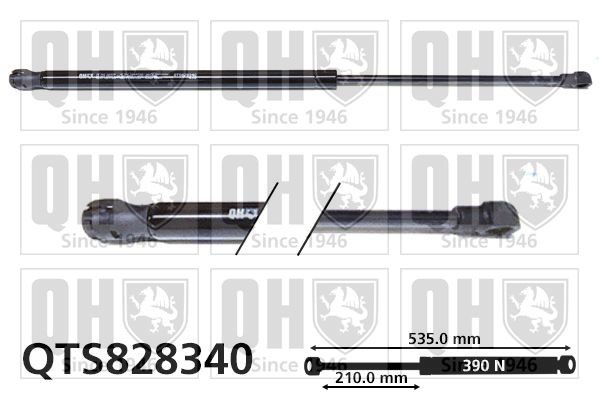 QUINTON HAZELL Gaasivedru, pagasi- / veoruum Artikli number: QTS828340 soodsalt