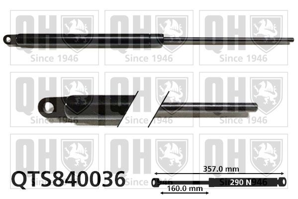 QUINTON HAZELL Tailgate strut Article number: QTS840036 cheaply