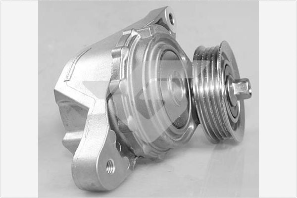 HUTCHINSON Tensioner pulley Article number: T0490 cheaply