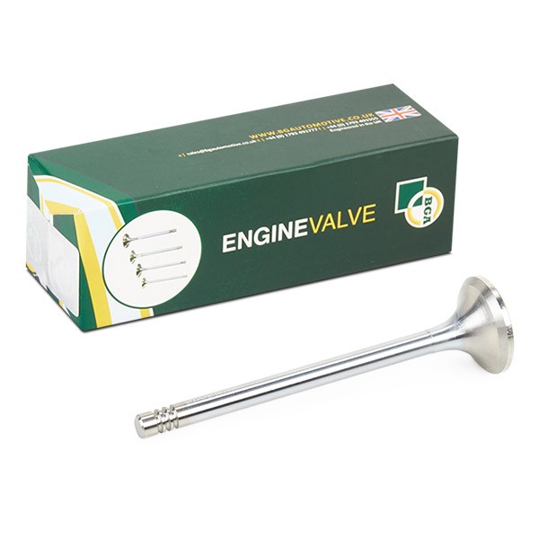 BGA Exhaust valve Article number: V165961 cheaply
