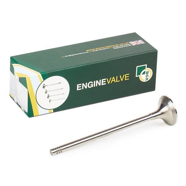 BGA Exhaust valve Article number: V998713 cheaply