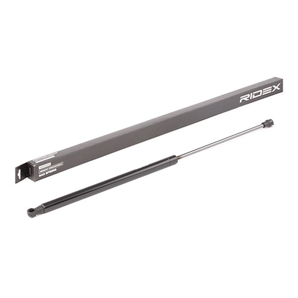 RIDEX Tailgate strut Article number: 219G0822 cheaply