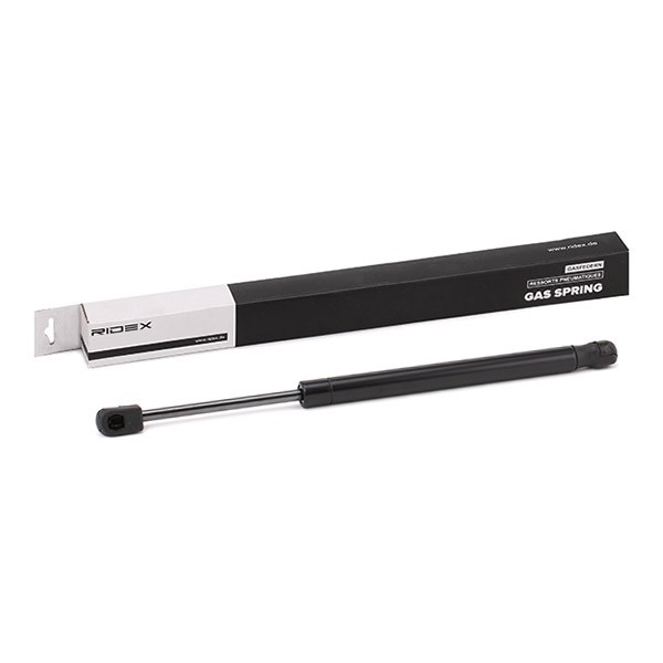 RIDEX Tailgate strut Article number: 219G0825 cheaply