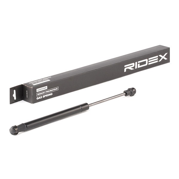 RIDEX Bonnet strut Article number: 514G0073 cheaply