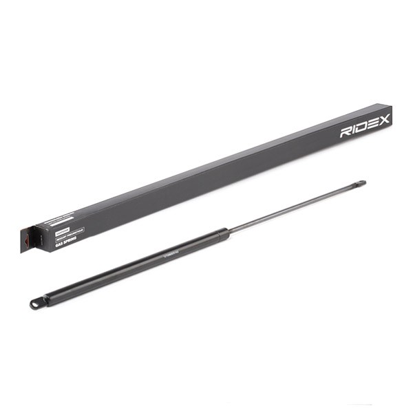 RIDEX Bonnet strut Article number: 514G0098 cheaply