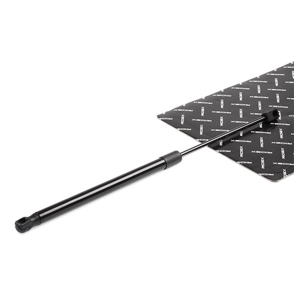 RIDEX Gāzes atspere, Bagāžas / Kravas nodalījuma vāks raksta numurs: 219G0849 lēti