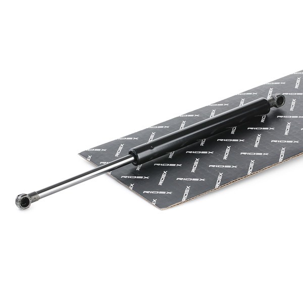 RIDEX Tailgate strut Article number: 219G0851 cheaply